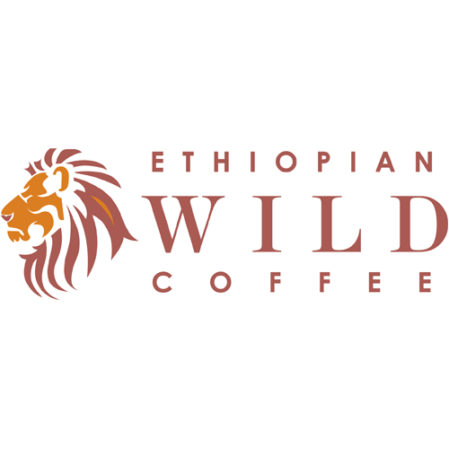 Ethiopian Wild Coffee